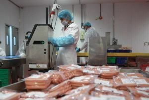food safety officer inspection
