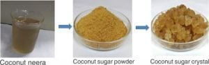sugar crystals from coconut neera