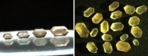 crystals formed from crystallization of neera