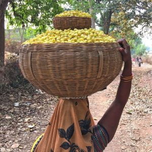 Mahua flowers
