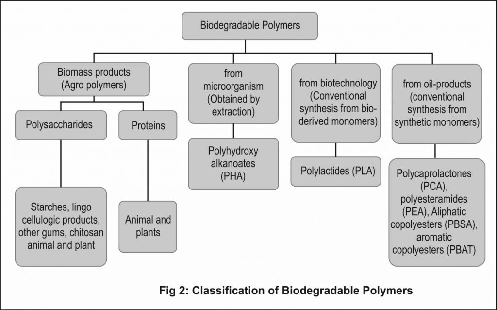 Fig 2: Classification of Biodegradable Polymers