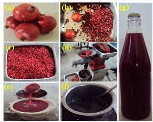 Pomegranate: A Wonder Fruit 4 Fig. 1: Stepwise pictorial presentation forpreparation of pomegranate juice (a) Raw fruit var. Mridula, (b) Manual aril separation, (c) Fresh arils, (d) Juice extraction, (e) Juice filtration, (f) Heat processing, (g) Processed pomegranate juice (Courtesy: PRERNA NATH)