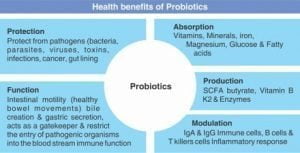 Health benefits of probiotics