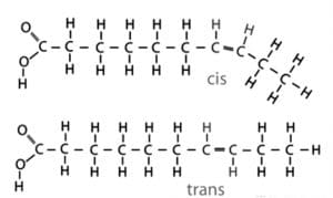 trans fatty acids