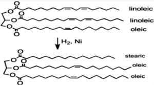 Hydrogenation reaction