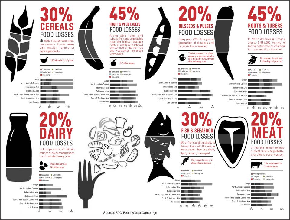 Curbing Food Wastage: Packaging Contributes in a Positive Way 1 Curbing Food Wastage