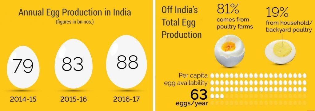 Annual Egg Production in India