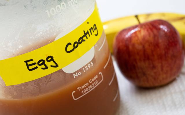 Egg-based protein coating preserves fresh produce 1 Egg-based-coating-2