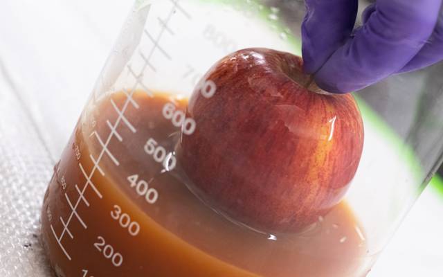 Egg-based protein coating preserves fresh produce 2 Egg-based-coating-3