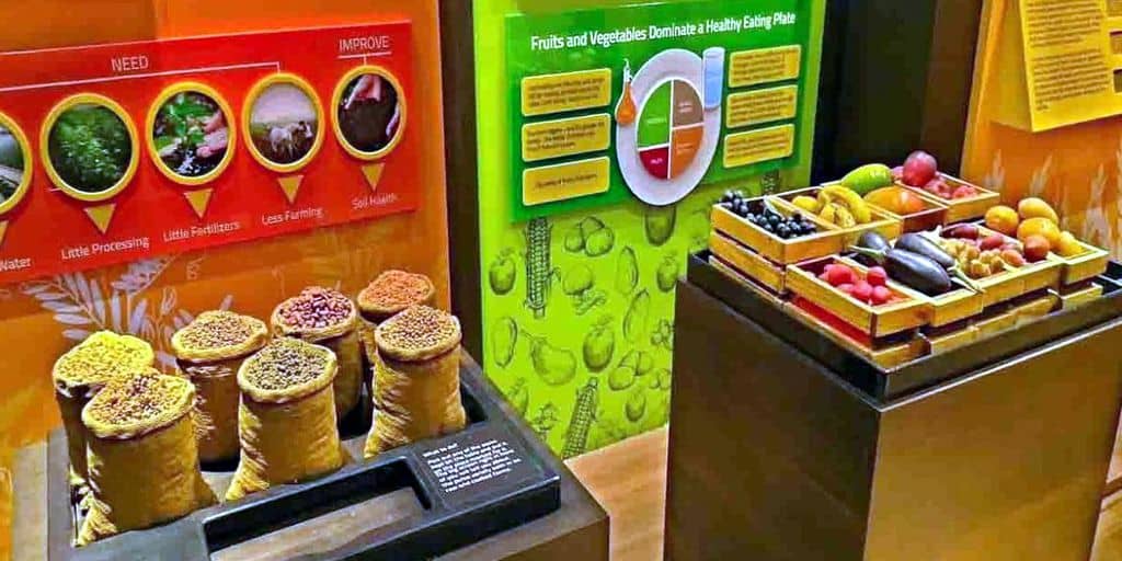 India’s First Food Museum Launched 1 About India’s First Food Museum