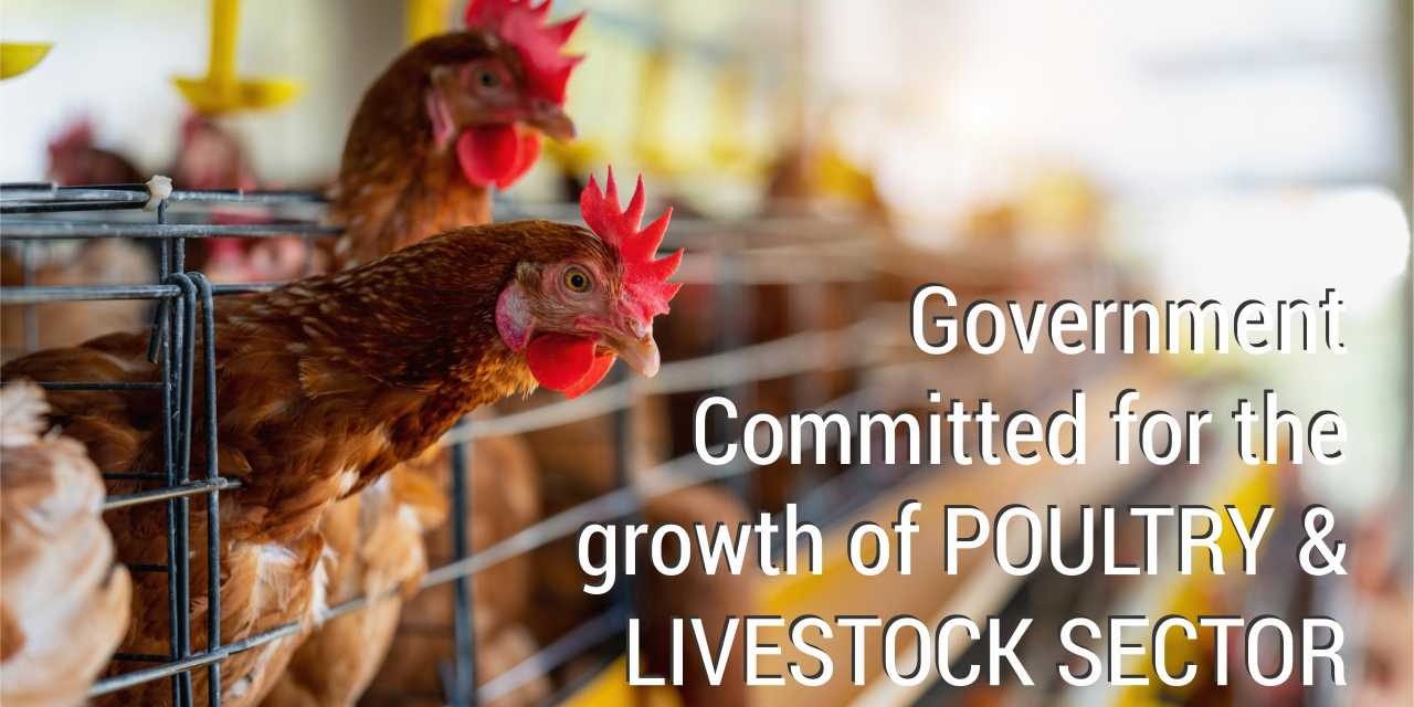 Govt Committed for Growth of Poultry and Livestock Sector
