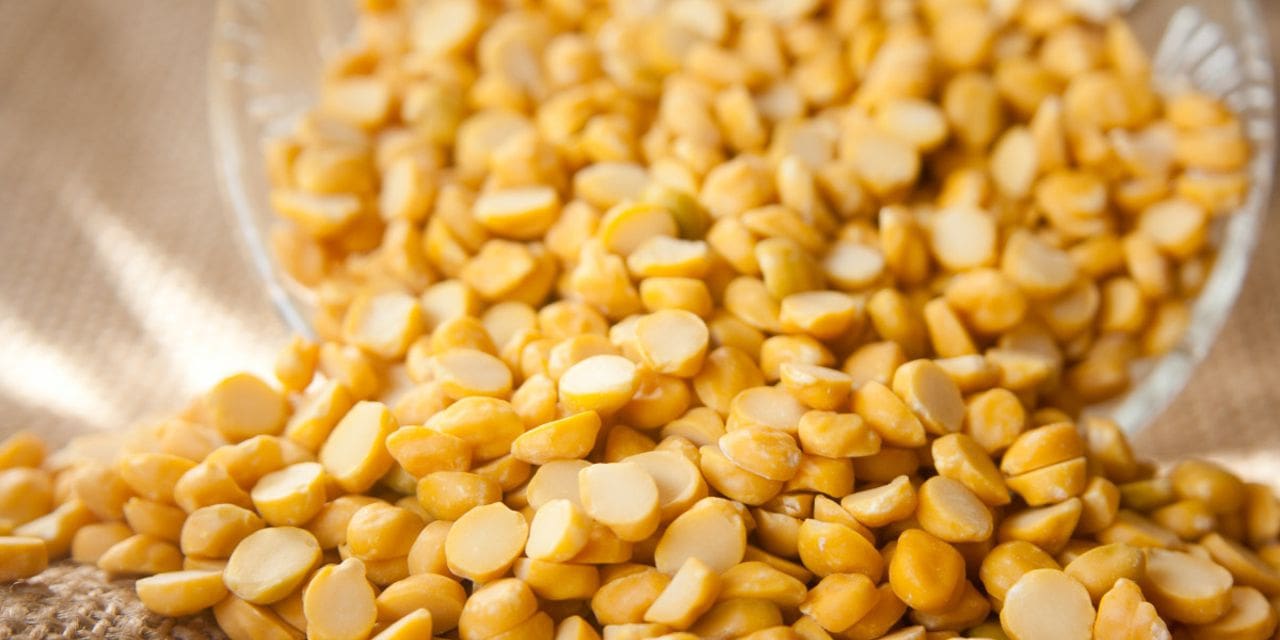Govt launches chana dal as ‘Bharat Dal’ in retail packs